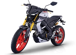 Yamaha MT-15 vừa được nhập về Việt Nam có những phụ kiện độ chính hãng nào