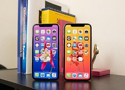 Apple dùng màn hình OLED và thu nhỏ notch trên iPhone 2020?