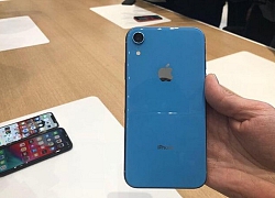 iPhone XR giảm giá mạnh vẫn không đắt hàng bằng iPhone 8