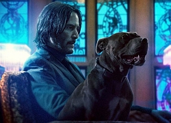 &#8216;John Wick: Chapter 3 &#8211; Parabellum&#8217; tung trailer chuẩn bị cho trận chiến cuối cùng