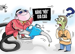 Mới hiểu giảm giá hết mong xăng dầu...