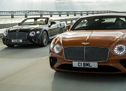 Siêu xe Bentley Continental GT có thêm hai phiên bản mới, công suất 542 mã lực