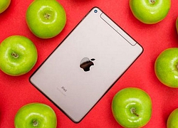 Trên tay iPad Mini 2019 giá hơn 9 triệu đồng