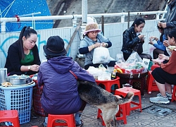 Câu chuyện đáng yêu của người phụ nữ bán vé số và chú chó lang thang ở Đà Lạt