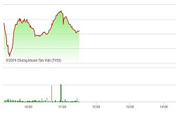 Chứng khoán sáng 25/3: Thuận đà thế giới, VN-Index bốc hơi 1,84%