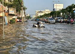 Dùng nước biển 'cứu' ĐBSCL thoát ngập