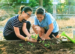 Sống chung với tóc bạc