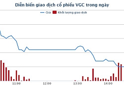 69 triệu cổ phần VGC, giá 23.000 đồng/cổ phiếu được bán hết trong phiên đấu giá