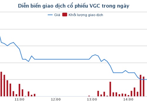 69 triệu cổ phần VGC, giá 23.000 đồng/cổ phiếu được bán hết trong phiên đấu giá