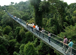 9 điểm du lịch miễn phí tuyệt đẹp ở Singapore, không biết thì "tiếc đứt ruột"