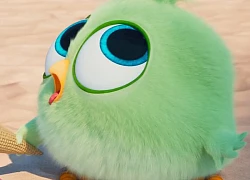 "Angry Birds 2" xuất hiện những nhân vật "lạ" cùng các trận chiến đầy thú vị trong trailer mới