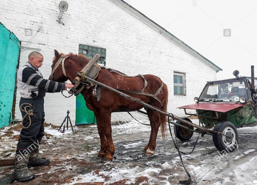 Chàng nông dân Belarus sáng chế 'xe hơi ngựa'