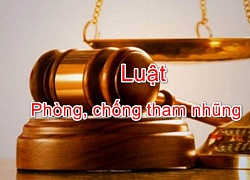 Chuẩn bị các bước đưa Luật Phòng chống tham nhũng vào cuộc sống