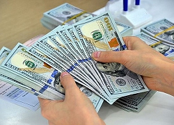 Giá USD bất ngờ tăng vọt