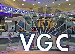 Hai lần đấu giá Viglacera vẫn &#8216;ế&#8217;, giới đầu tư chỉ mua 86% cổ phần Bộ Xây dựng chào bán