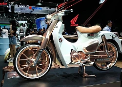 Honda Cub C125 'mạ vàng' - Đẹp, độc, điệu cho dân chơi