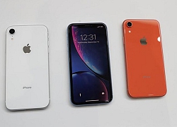 iPhone XR thống trị thị trường smartphone Mỹ