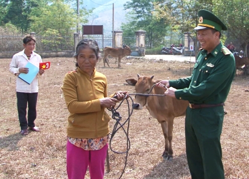 Kon Tum: Hỗ trợ bò giống cho 10 hộ gia đình khó khăn xã biên giới Đăk Long