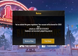 VNG nói chủ nick PUBG Mobile rank Đồng bị ban 10 năm là do... "nghiệp" anti-fan quá lớn