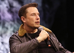 Elon Musk đọc rap tưởng nhớ một con khỉ đột