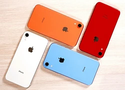 Apple giảm giá gần 6 triệu đồng cho iPhone XR tại Ấn Độ để cạnh tranh với Galaxy S10e