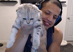 Các streamer LMHT bị Riot "hỏi đểu" ngay trên stream, câu trả lời từ Tyler1 có thể khiến anh bị khóa tài khoản lần nữa