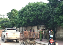 Công an bắt giữ đàn chó cắn bé trai tử vong thương tâm ở Hưng Yên