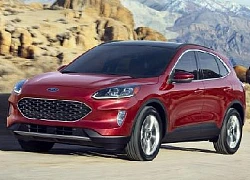 Ford Escape 2020: Hiện đại hơn, thông minh hơn