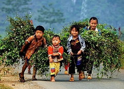 Khởi công hai nhà bán trú cho trẻ em vùng cao Hà Giang