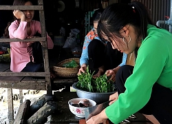 Lần đầu ăn con Cá Ngát làm món Cá Ngát nấu canh chua và kho