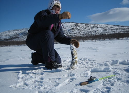 Thi câu cá trên băng ở Siberia