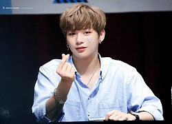 Thuyết âm mưu của netizen: Bài báo Dispatch tố Kang Daniel vô ơn là một nước cờ cao tay của LM và MMO nhằm 'dìm' bê bối của Roy Kim?