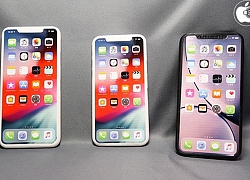 iPhone XR tiếp theo sẽ có camera kép bố trí trong hình tam giác