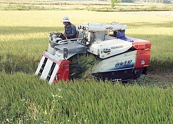 Làng mới ven biển Hoài Nhơn