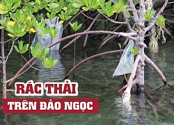 Rác đầy các bãi biển Côn Đảo, dọn 1 tuần 3 buổi vẫn không sạch