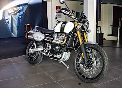 Cận cảnh mô tô Triumph Scrambler 1200 XE giá 649 triệu đồng tại Việt Nam