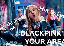 Chết cười với loạt ảnh chế 'sang chảnh' về MV comeback mà fan dành tặng BlackPink