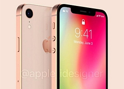 'Ngắm' iPhone SE 2, Phiên bản thu nhỏ của iPhone X