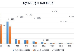 Nhiều doanh nghiệp "cài số lùi" lợi nhuận năm 2019