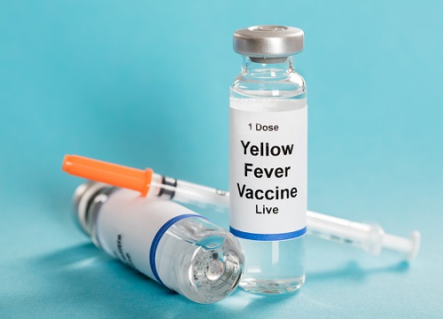 Phát hiện vaccine chống sốt vàng hữu dụng với Zika