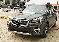 Subaru Forester 2019 sắp giảm giá hàng trăm triệu đồng, tạo thách thức lên Mazda CX-5 và Honda CR-V