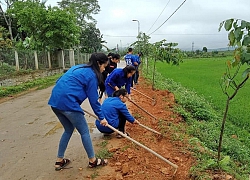 Thanh niên Hương Sơn tham gia 5.000 ngày công vì cuộc sống cộng đồng