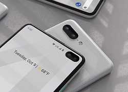 Xác nhận Pixel 4 sẽ có thiết kế 'viên thuốc' như Galaxy S10+