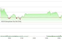 Chứng khoán chiều 11/4: VN-Index phục hồi trên "đôi cánh" VIC, VHM