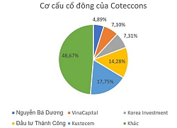 Cổ đông Coteccons mâu thuẫn về việc sáp nhập Riccons