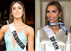 Đụng chạm quyền lợi thi Miss Universe của người đẹp chuyển giới, dàn mỹ nhân đình đám phải trả giá quá thê thảm