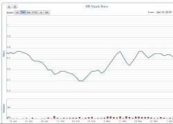 Lỗ thêm 61 tỷ sau kiểm toán, cổ phiếu PPI vẫn tăng trần 5 phiên