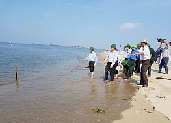 Quảng Nam cấm người dân và du khách lên đảo nổi "bí ẩn"