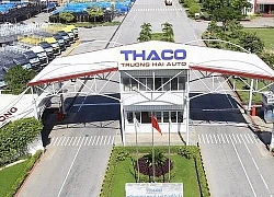 Thaco lãi trước thuế 7.000 tỷ đồng năm 2018, gần 10% đến từ mảng bất động sản