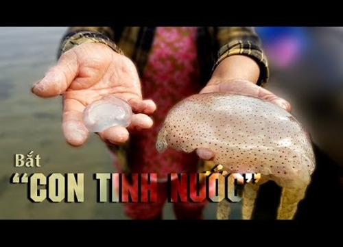 Về phá Tam Giang Cầu Hai bắt con "tinh của nước"